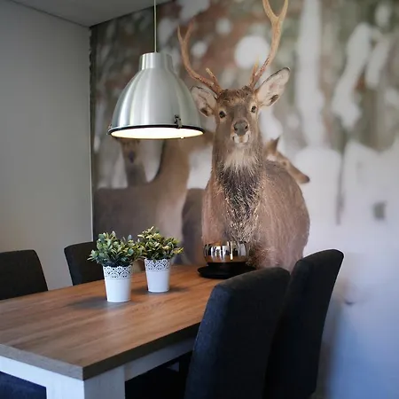 Apartment Knus, Gezellig En Comfortable Winterberg