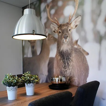 Knus, Gezellig En Comfortable Winterberg